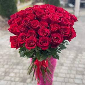 51 червона троянда Еквадор – купити з доставкою в Черкасах
