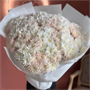 Ніжно-рожева кущова хризантема | Купити букет Черкаси