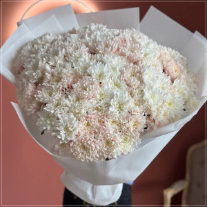 Ніжно-рожева кущова хризантема | Купити букет Черкаси