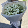 Перлинний сад